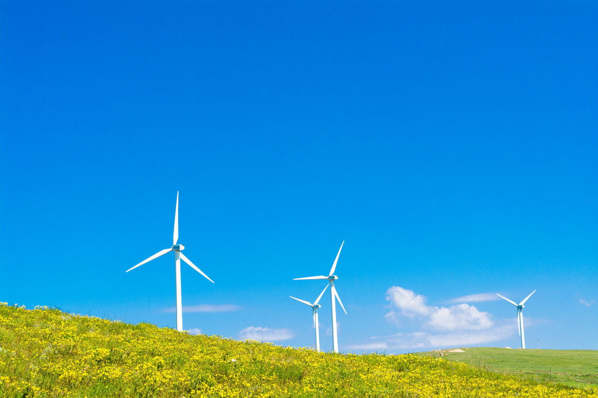 史作廷：努力推動(dòng)實(shí)現(xiàn)碳達(dá)峰碳中和目標(biāo)